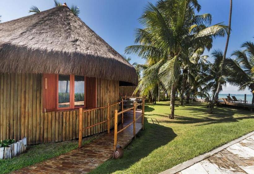 标准平房, Carneiros Paradiso