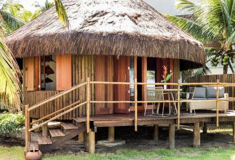 标准平房, Carneiros Paradiso