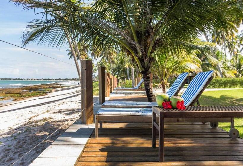 标准平房, Carneiros Paradiso