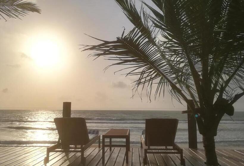 标准平房, Carneiros Paradiso