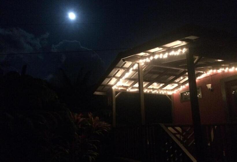 كابينة, Hale Nonno