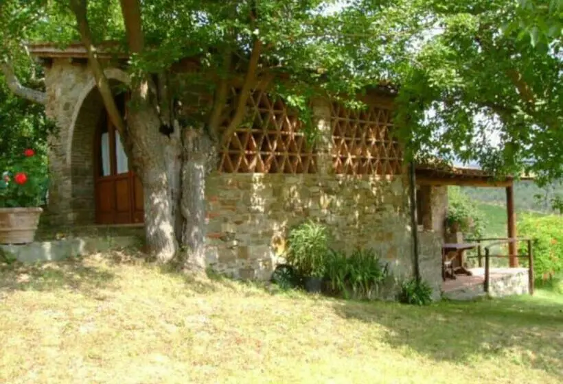テラス付き１ベッドルームアパートメント, Agriturismo Il Santo
