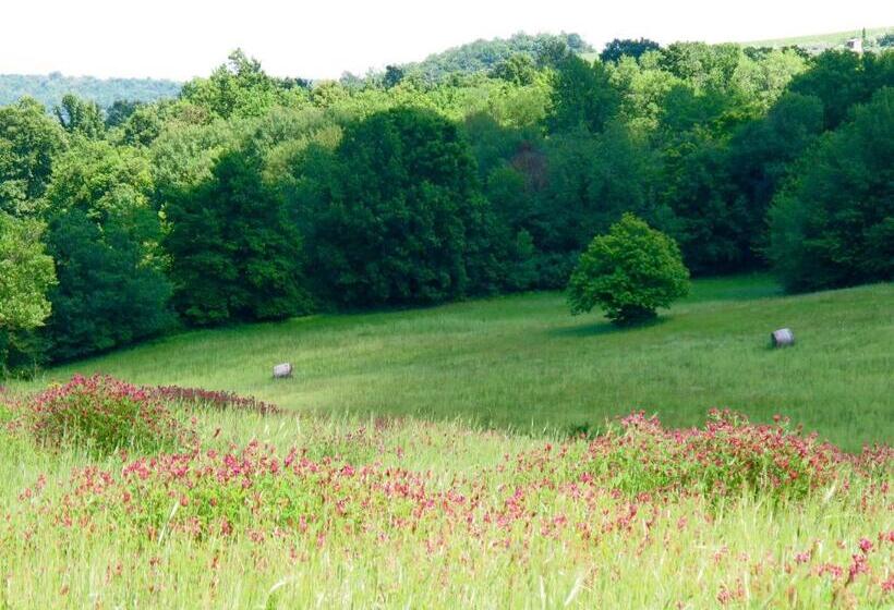 דירת חדר, Podere Casanuova
