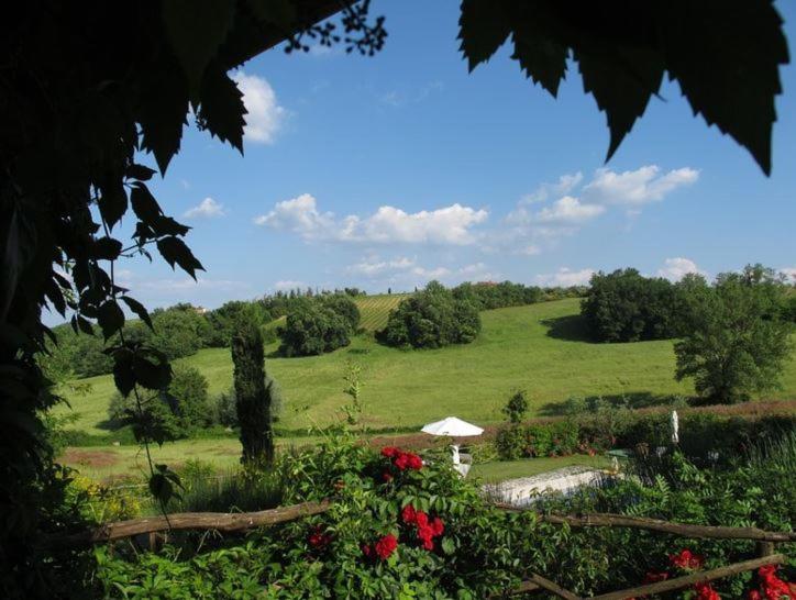 חדר סטודיו סטנדרד, Podere Casanuova