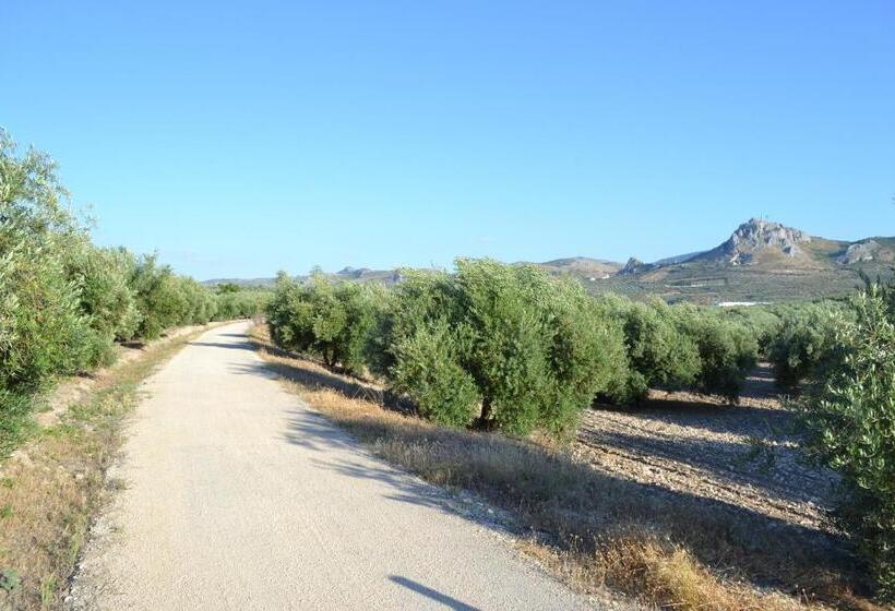 غرفة قياسية ثلاثية, Hostal Nicol's