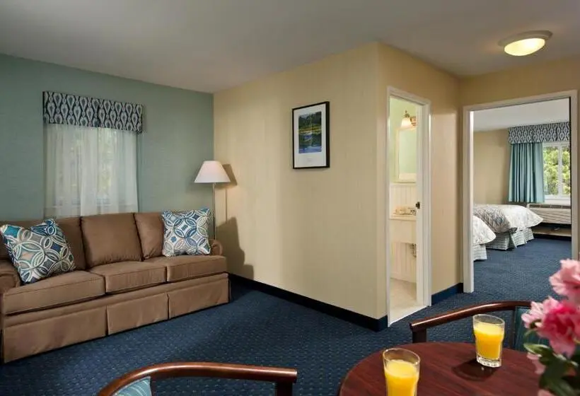 スイート, Wellfleet Motel & Lodge