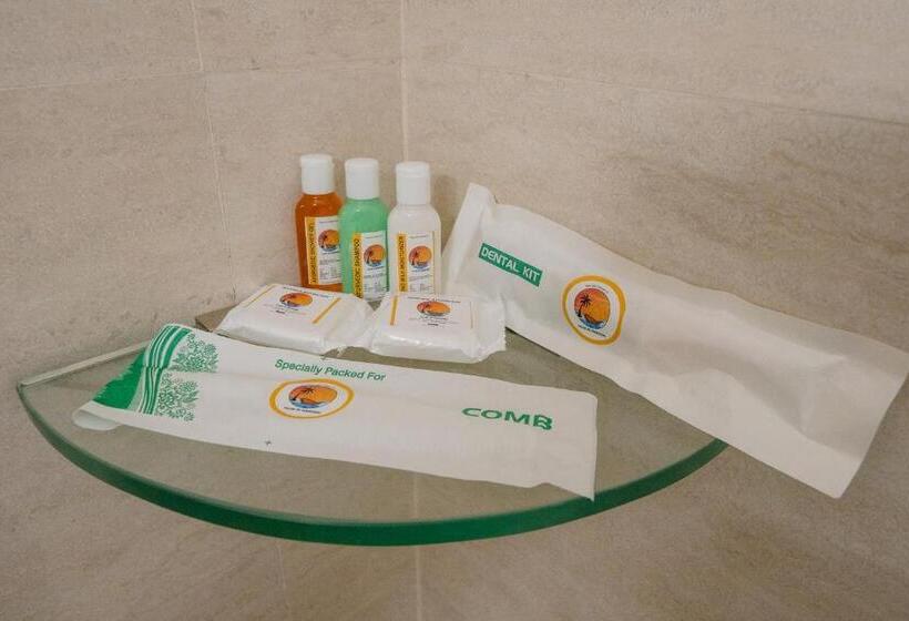 סוויטה, Palais De Pondichéry