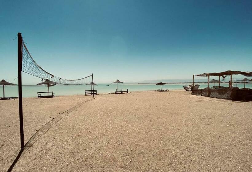 חדר סטנדרט, Maldives Holtel