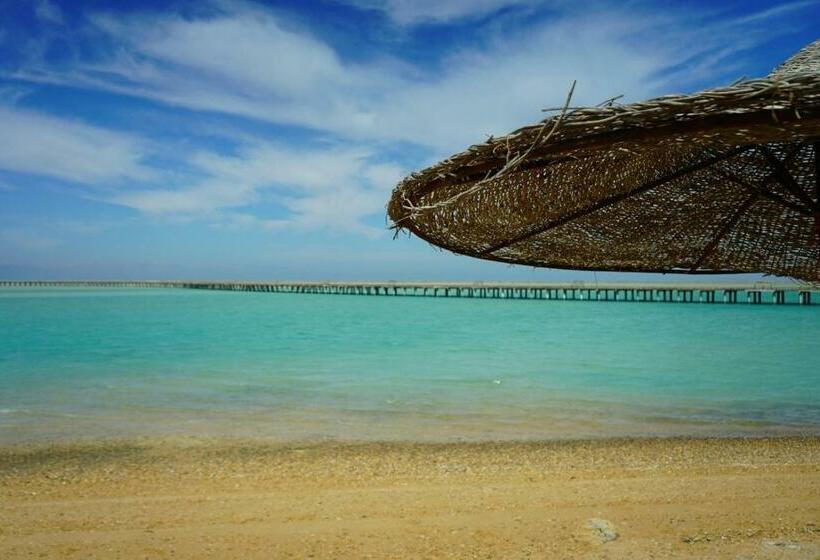 חדר סטנדרט, Maldives Holtel