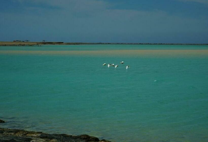 חדר סטנדרט, Maldives Holtel