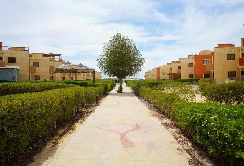 חדר סטנדרט, Maldives Holtel