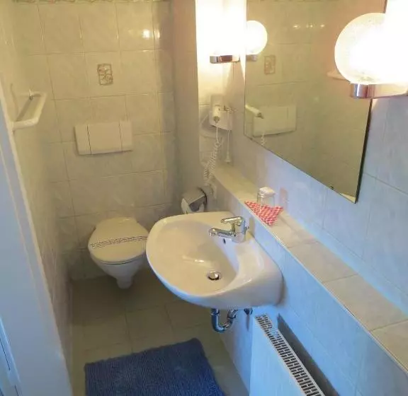 اتاق استاندارد یک نفره, Gästehaus Huber   Traditional Sixties Hostel