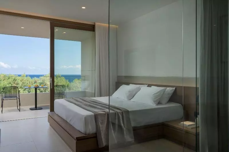 اتاق استاندارد با تخت بزرگ, Hilton Garden Inn Dubai, Mall Avenue