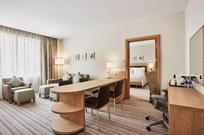 سوئیت با تخت بزرگ, Hilton Garden Inn Dubai, Mall Avenue