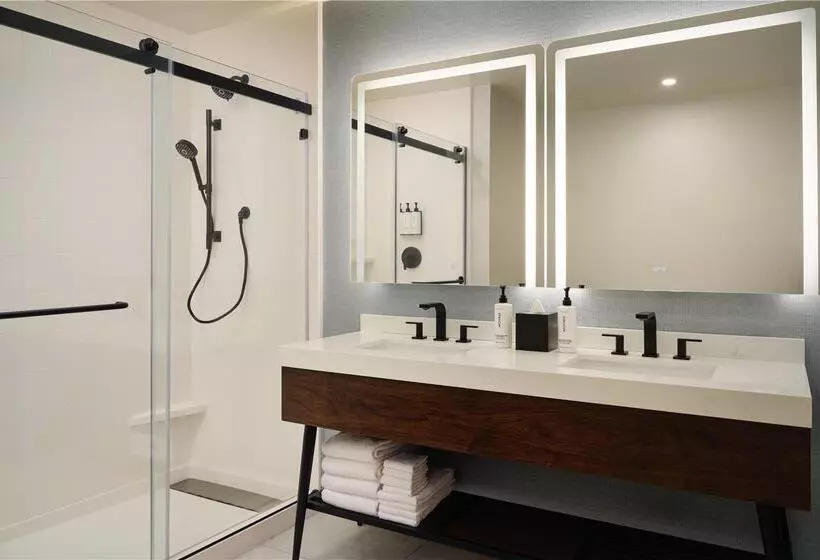 سوئیت با تخت بزرگ, Hilton Garden Inn Dubai, Mall Avenue