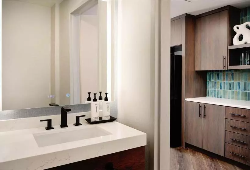 سوئیت با تخت بزرگ, Hilton Garden Inn Dubai, Mall Avenue