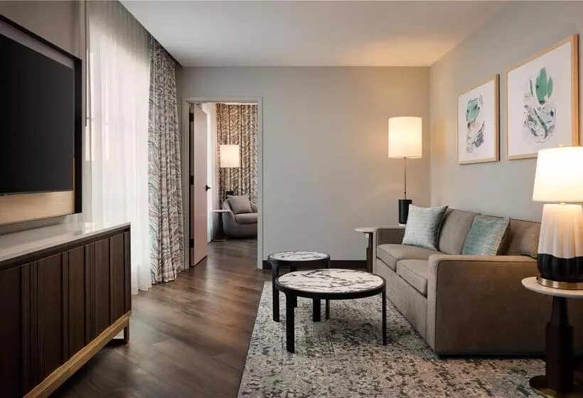 سوئیت با تخت بزرگ, Hilton Garden Inn Dubai, Mall Avenue