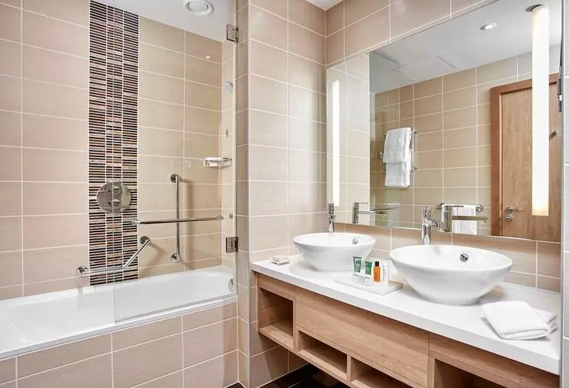 سوئیت با تخت بزرگ, Hilton Garden Inn Dubai, Mall Avenue