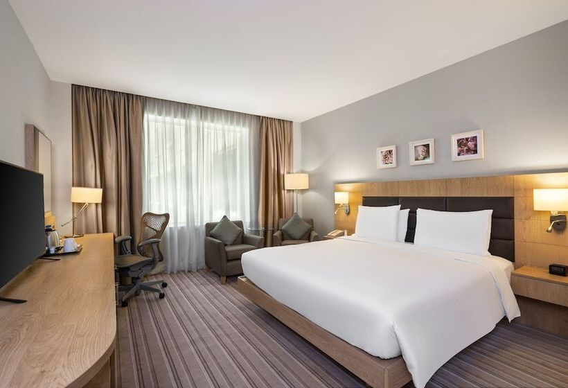 سوئیت با تخت بزرگ, Hilton Garden Inn Dubai, Mall Avenue