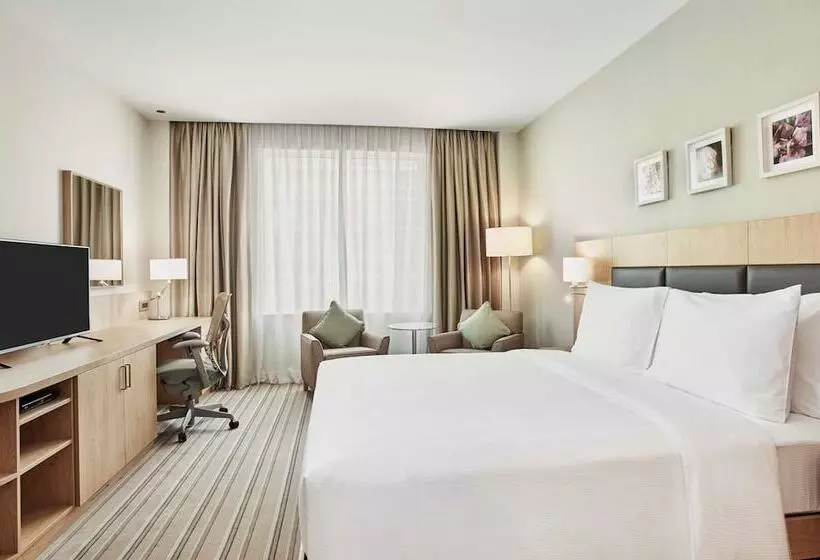 سوئیت با تخت بزرگ, Hilton Garden Inn Dubai, Mall Avenue