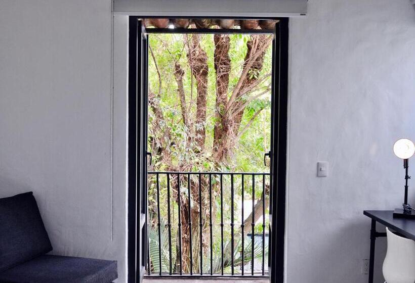 附加标准房间, Las Casas B&b Boutique Hotel, Spa & Restaurante Cuernavaca