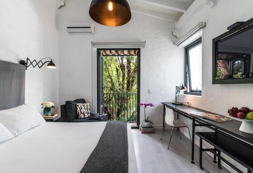 附加标准房间, Las Casas B&b Boutique Hotel, Spa & Restaurante Cuernavaca