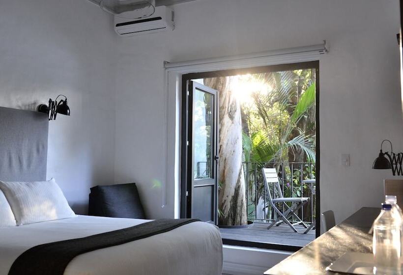 高级大房间, Las Casas B&b Boutique Hotel, Spa & Restaurante Cuernavaca