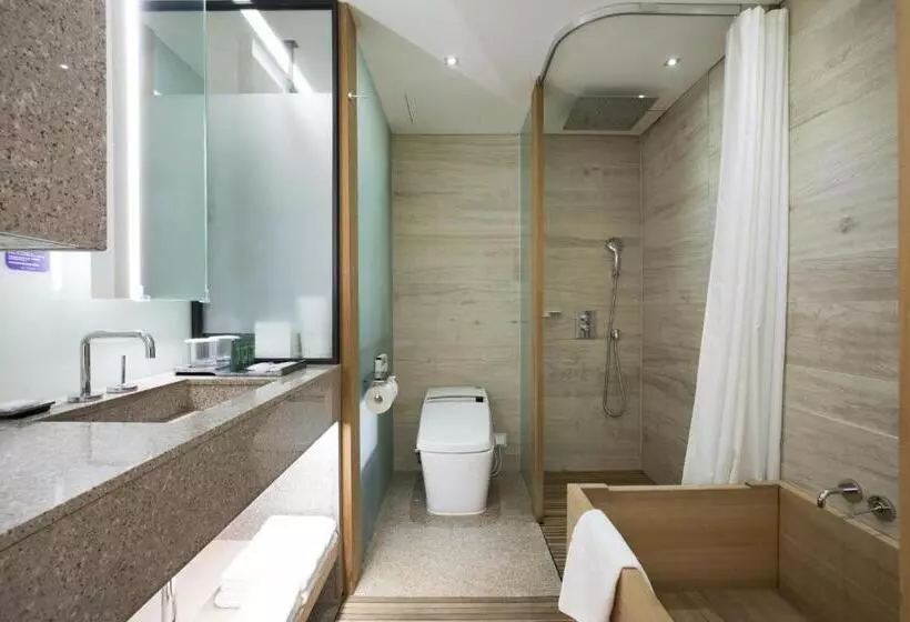 デラックスルーム, Sotetsu Hotels The Splaisir Seoul Myeongdong