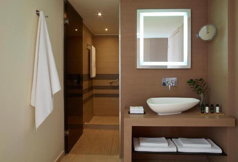 디럭스 룸 바다 전망, The Ixian Grand & All Suites  Adults Only