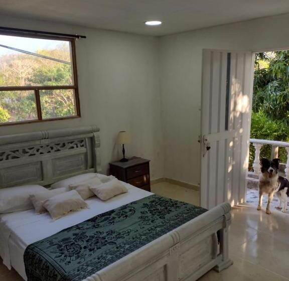 חדר סטנדרט עם טרסה, Solaire