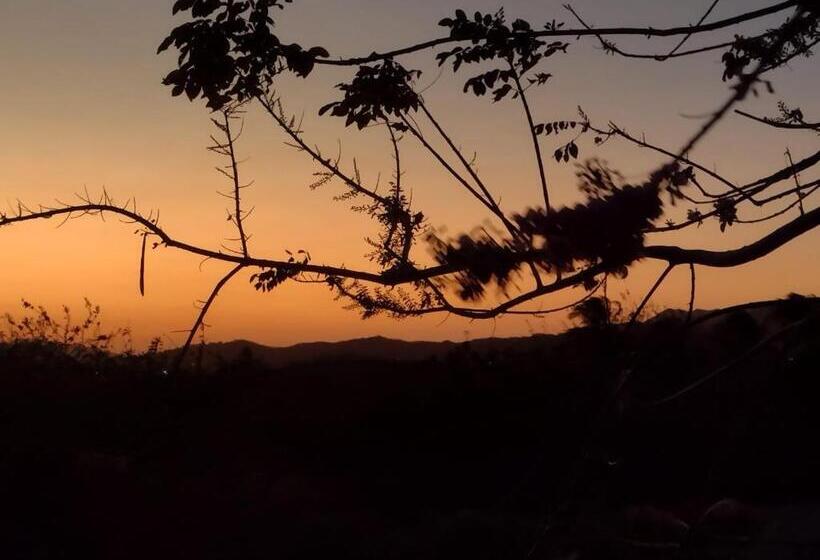 חדר סטנדרט, Solaire