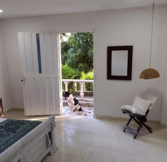 חדר סטנדרט, Solaire