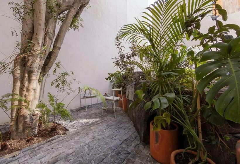 Suíte com Terraço, Casa Ofelia