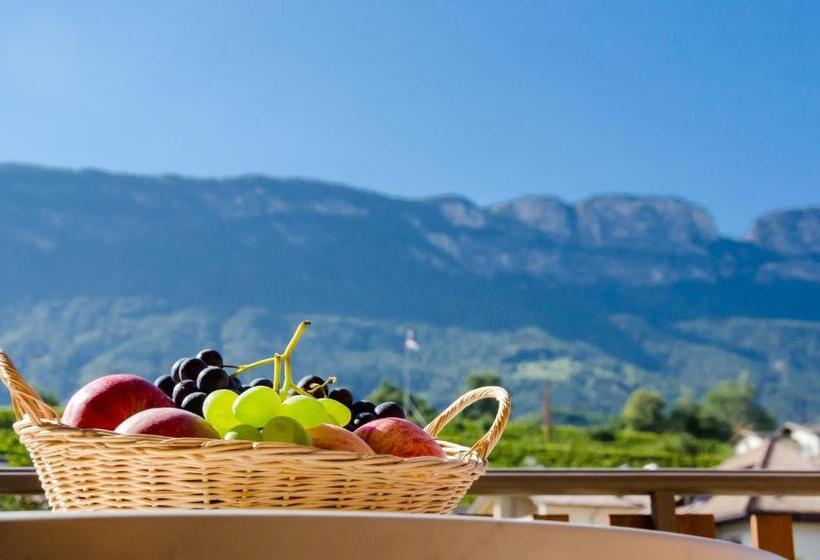 غرفة قياسية مزوَّدة بشُرفة, B&b Zum Guten Tropfen