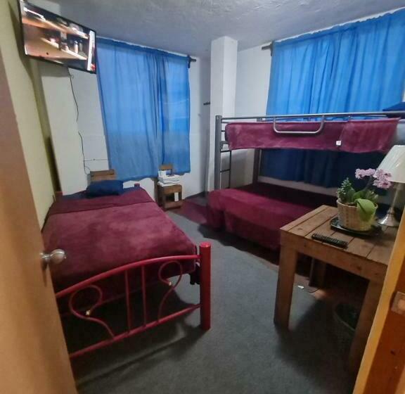 バスルーム共有のトリプルスタンダード, Hostal Del Elefante