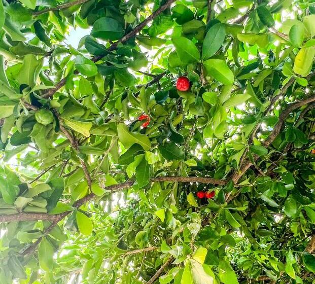 اتاق استاندارد, Hy. Guesthouse Phu Quoc