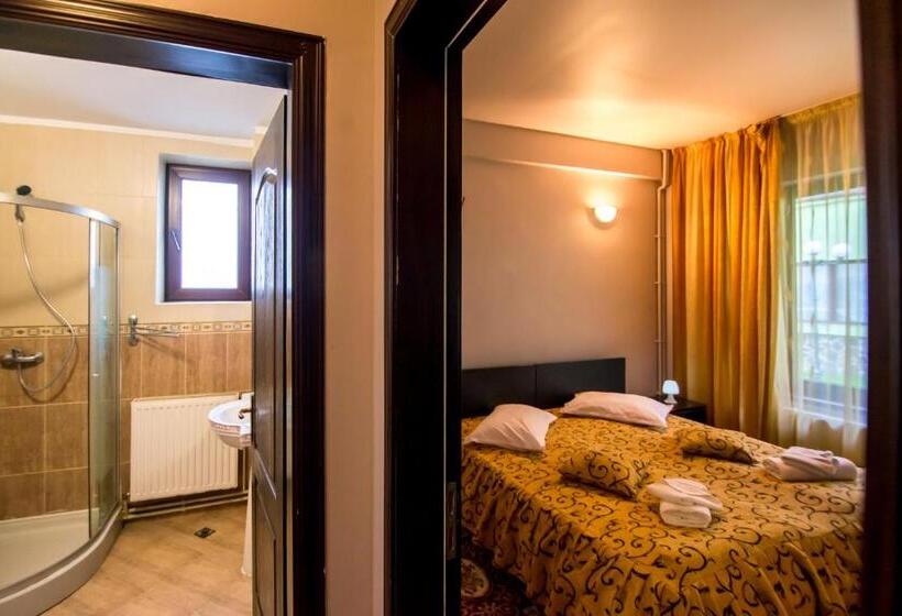 Апартаменты 1 Спальня, Pensiunea Veronica