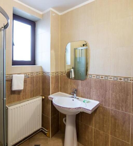 Апартаменты 1 Спальня, Pensiunea Veronica