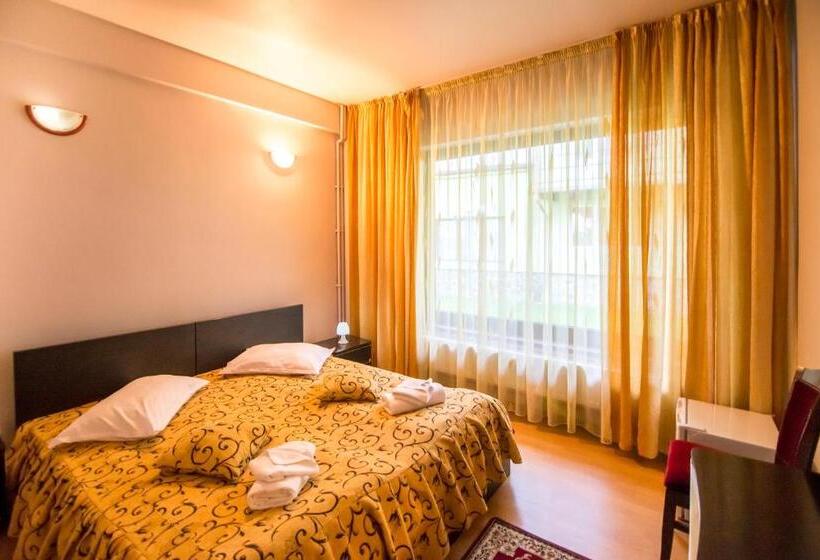 Апартаменты 1 Спальня, Pensiunea Veronica