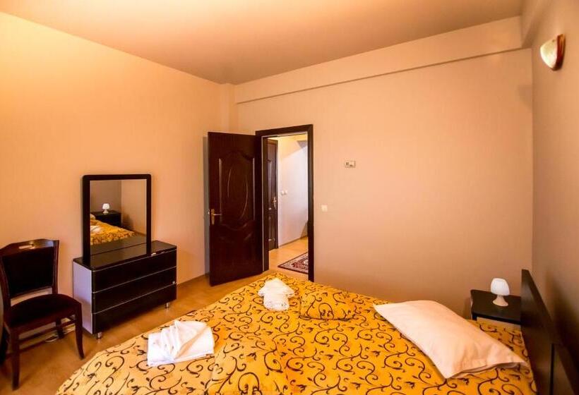 Апартаменты 1 Спальня, Pensiunea Veronica