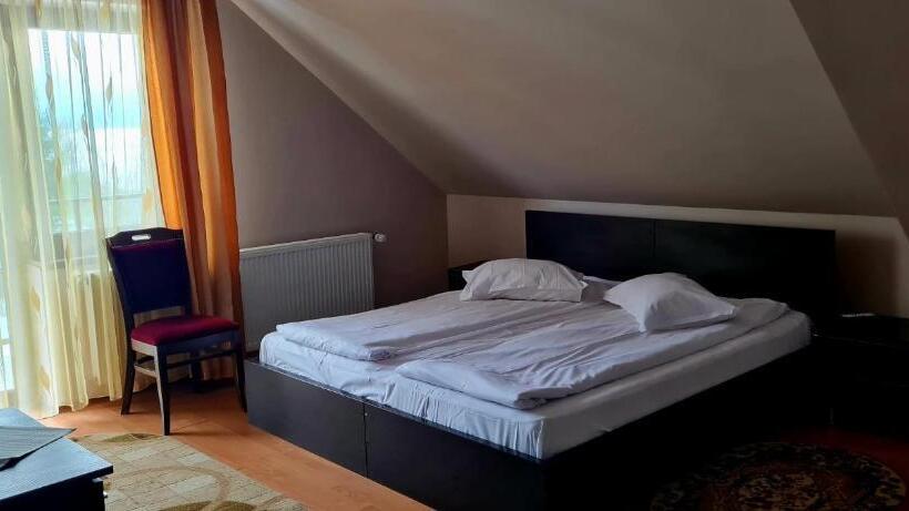 Номер Стандарт Трехместный, Pensiunea Veronica