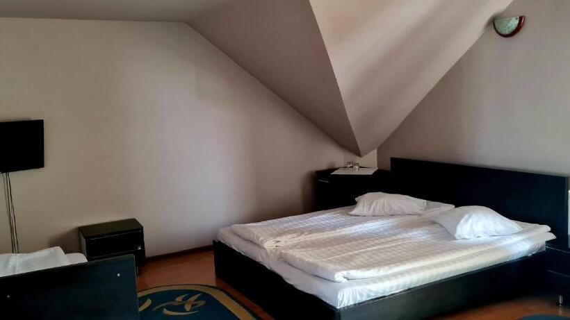 Номер Стандарт Трехместный, Pensiunea Veronica