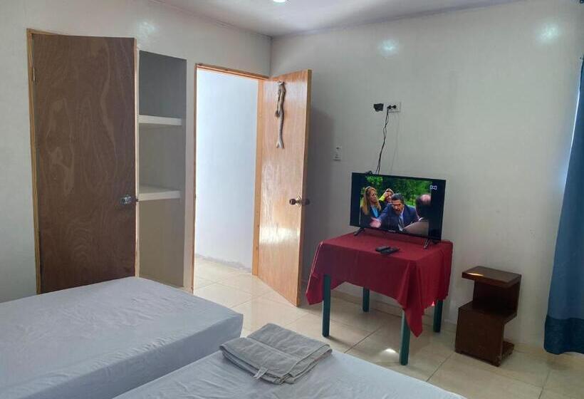 اتاق اکونومی, Miss Titis Native Lodge