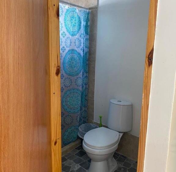 اتاق اکونومی, Miss Titis Native Lodge