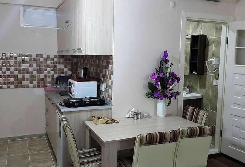 ファミリーステューディオ, Beyazithan Suites