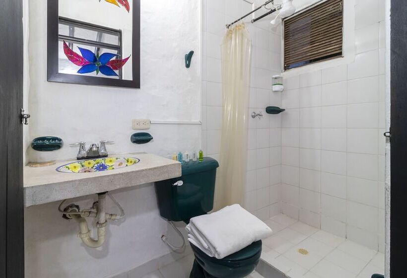 标准间, Corona Real