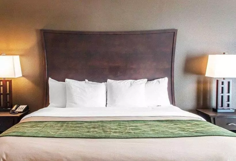 スイート, Comfort Inn & Suites Woodward