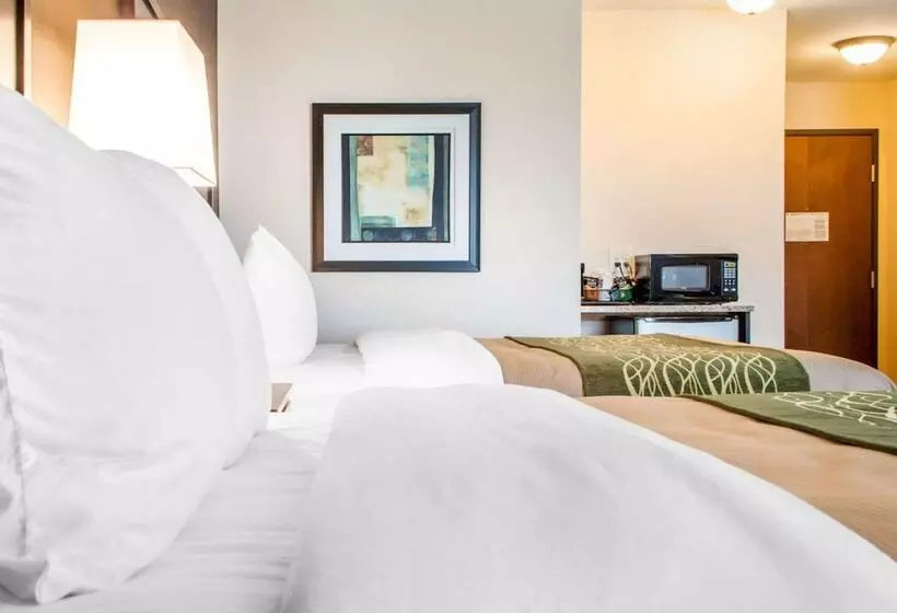 身障者適用スタンダードルーム, Comfort Inn & Suites Woodward