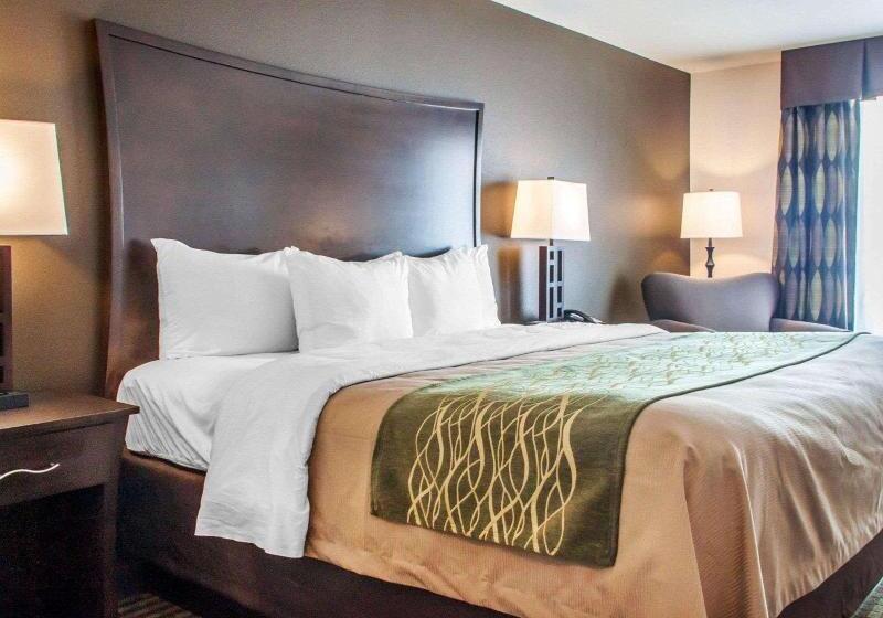 带大床的标准间, Comfort Inn & Suites Woodward