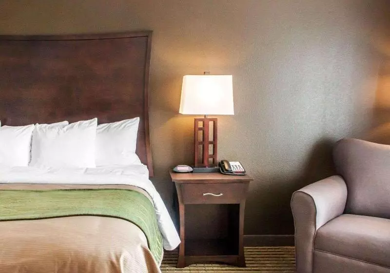 キングサイズベッドのスタンダードルーム, Comfort Inn & Suites Woodward